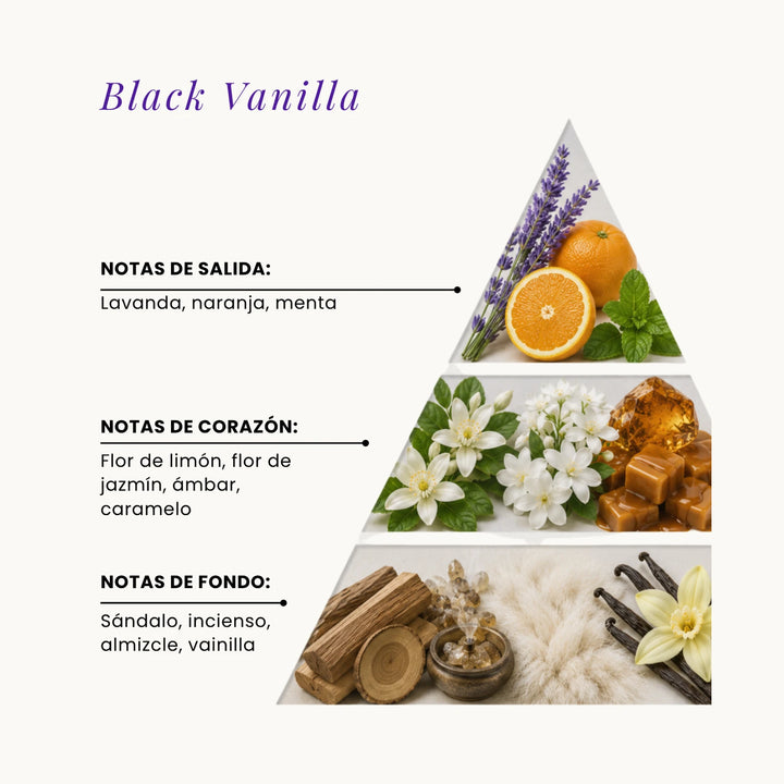Black Vanilla fragrance pyramid
