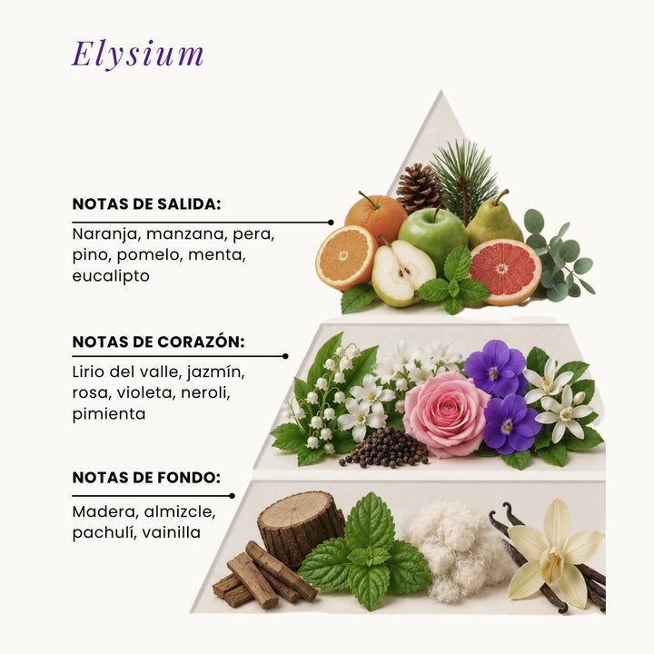 Elysium fragrance pyramid