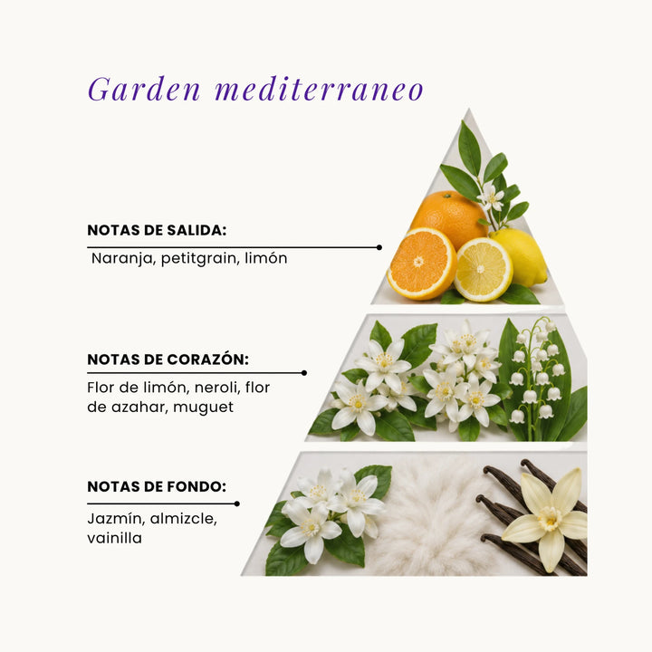 Garden Mediterraneo fragrance pyramid