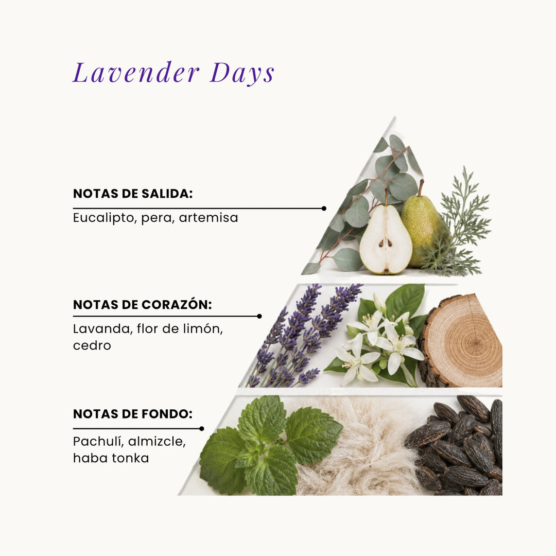 Lavender Days fragrance pyramid
