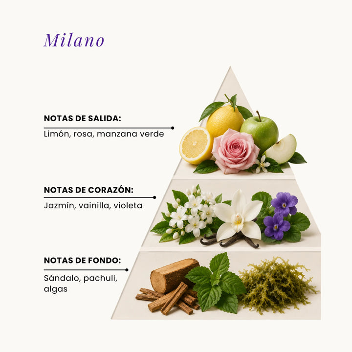 Milano fragrance pyramid