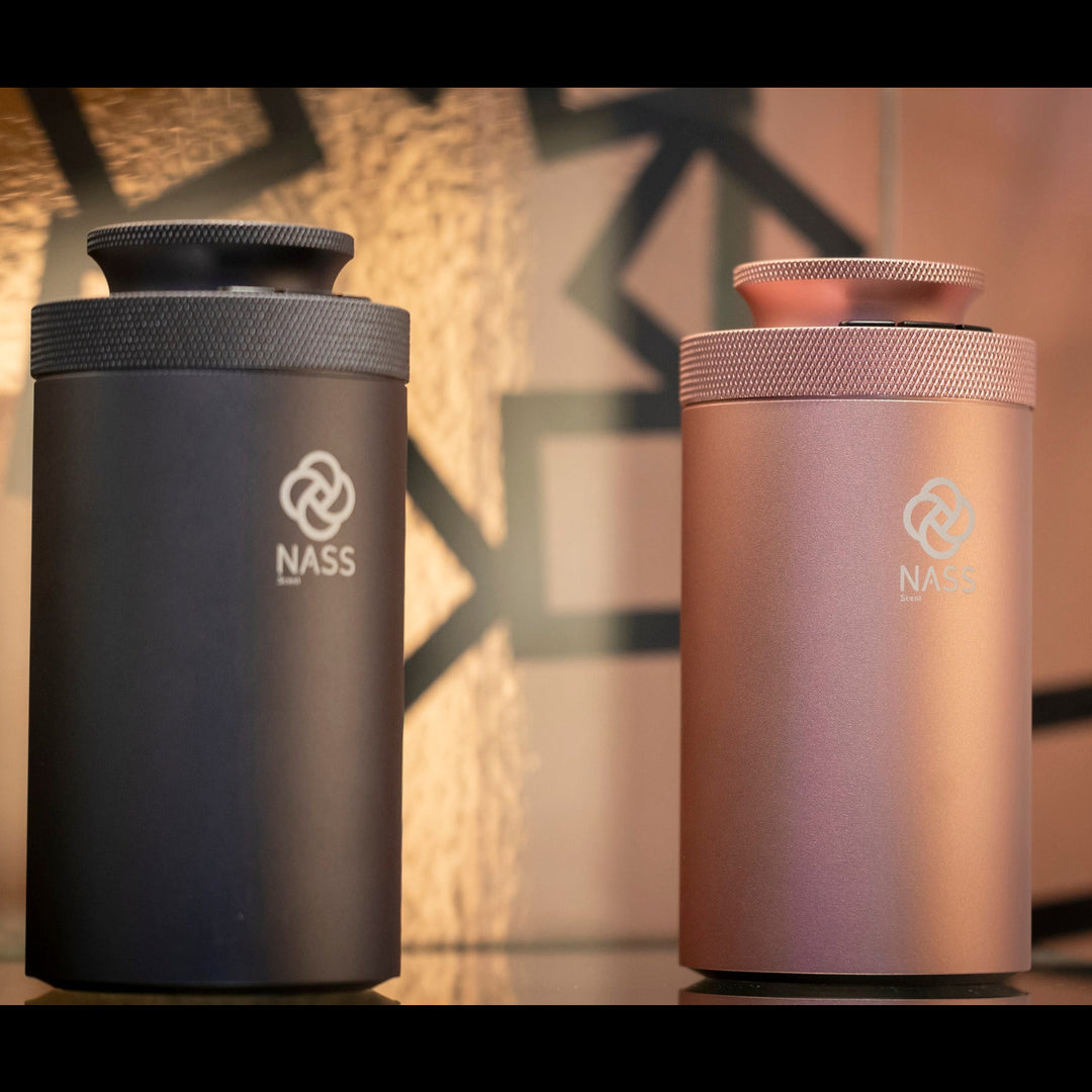 NASS Cute scent diffusers in grey and rose