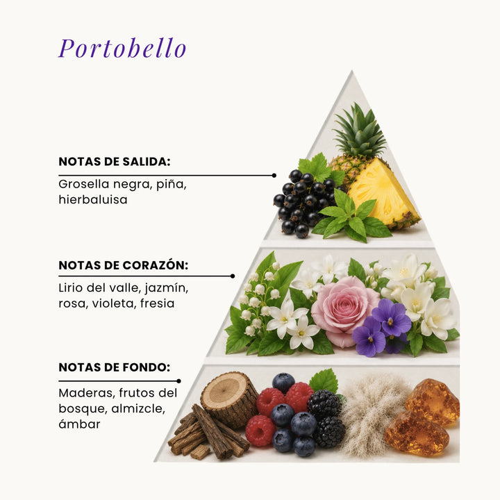 Portobello fragrance pyramid