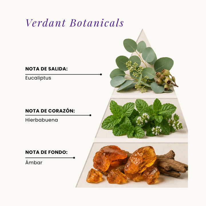 Verdant Botanicals fragrance pyramid