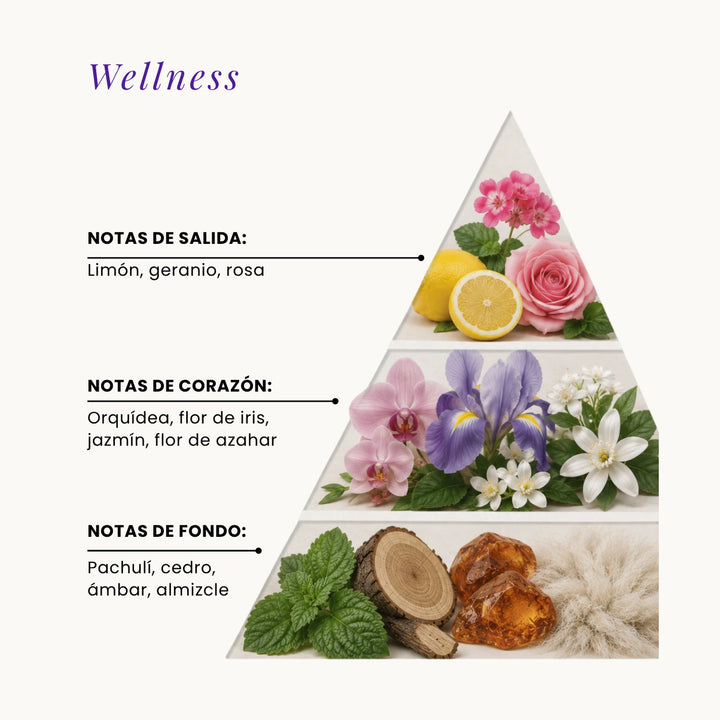 Wellness fragrance pyramid