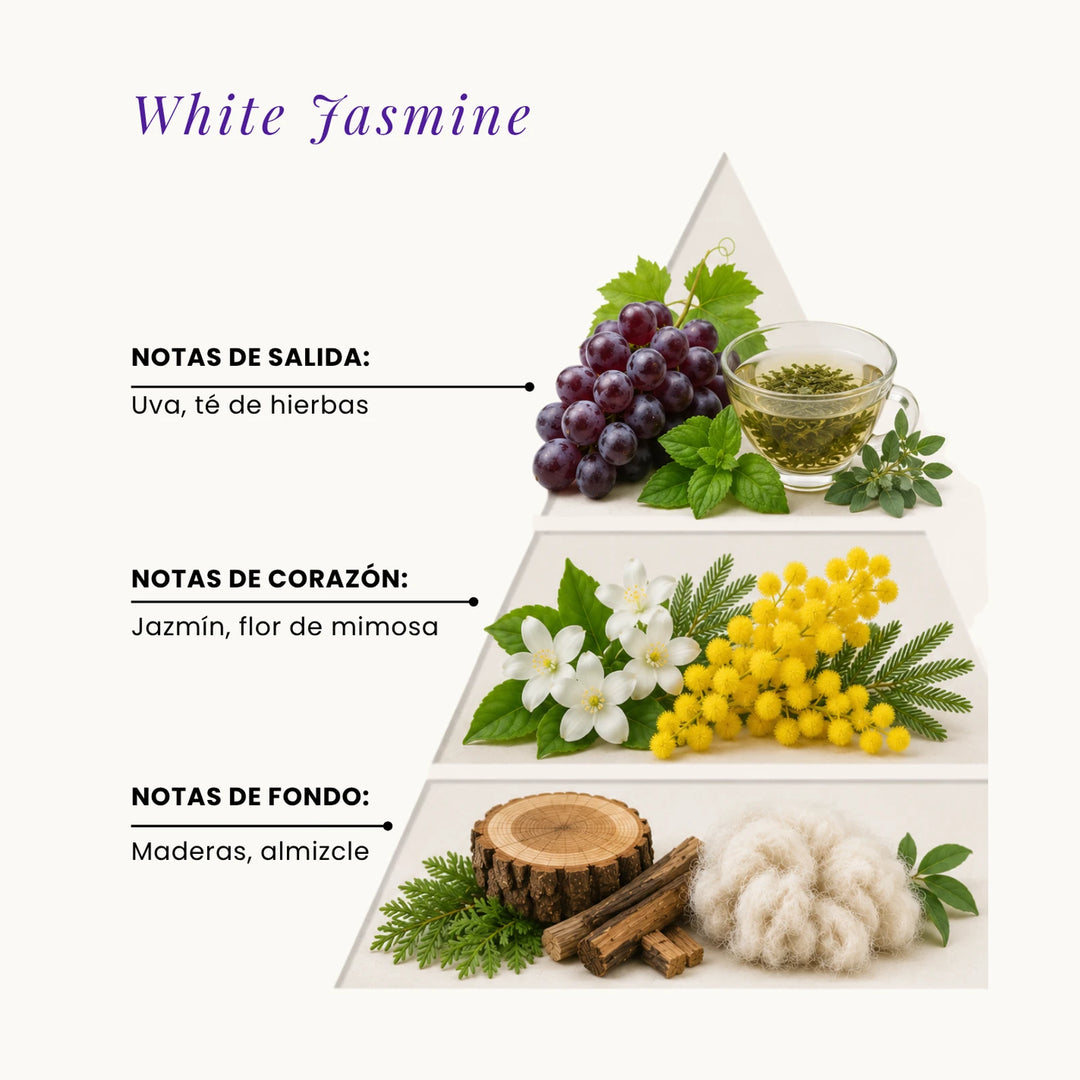White Jasmine fragrance pyramid